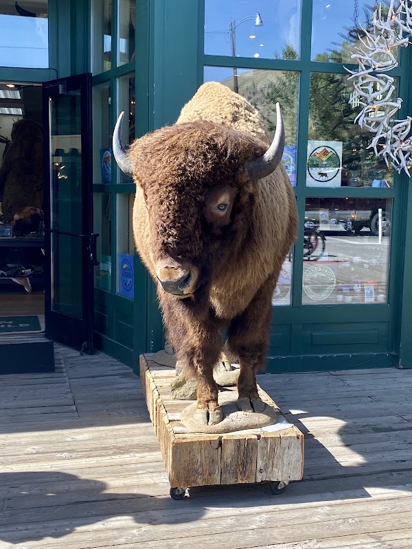 Jackson Hole 2