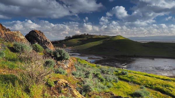 Coyote Hills Regional Park 5