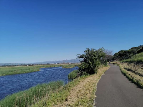 Coyote Hills Regional Park 4