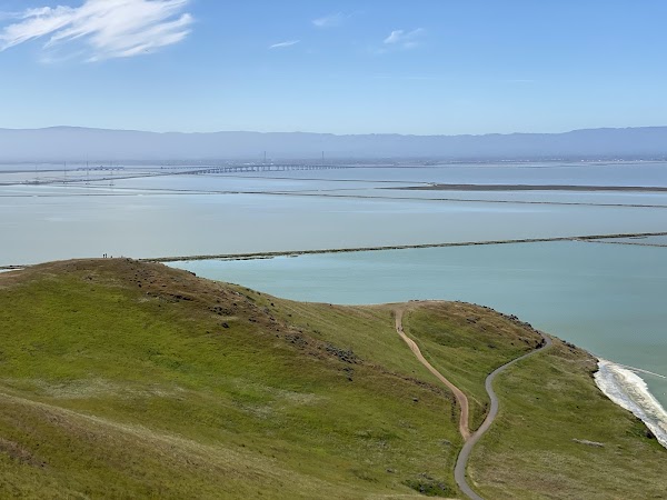 Coyote Hills Regional Park 3
