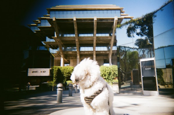 Geisel Library 3