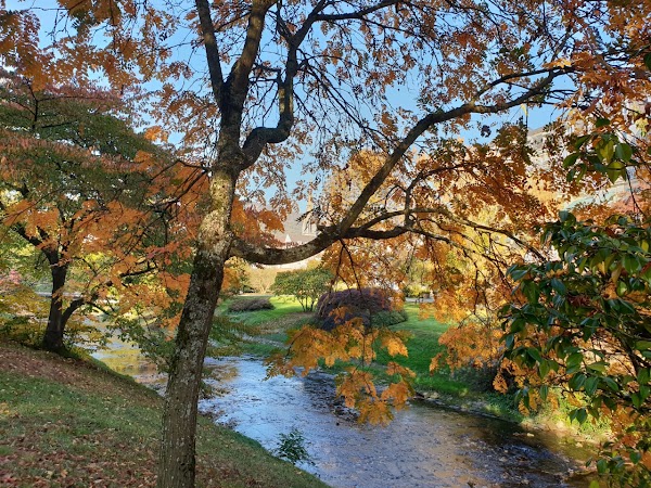 Baden-Baden 3