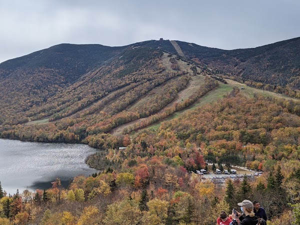 Artists Bluff 5