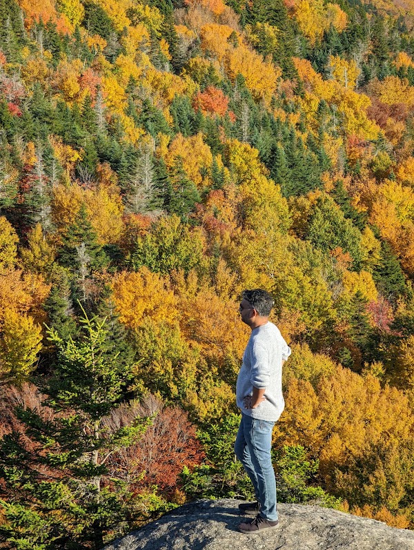 Artists Bluff 3
