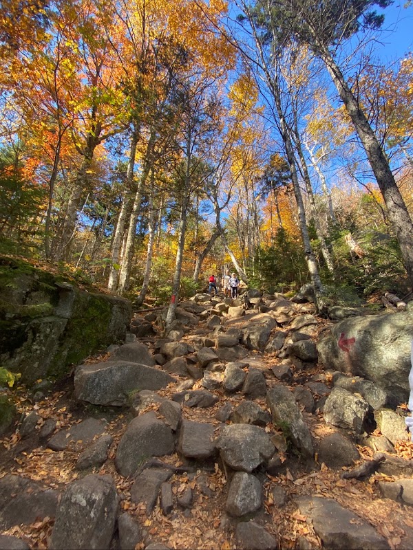 Artists Bluff 2