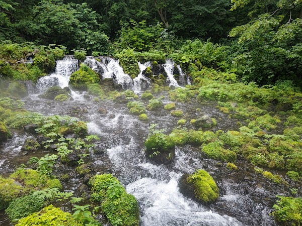 Roadside station Meisui-no-sato Kyogoku 1