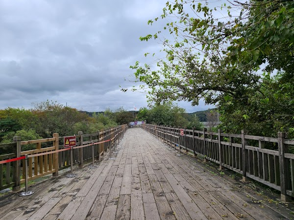 Bridge of Freedom 5