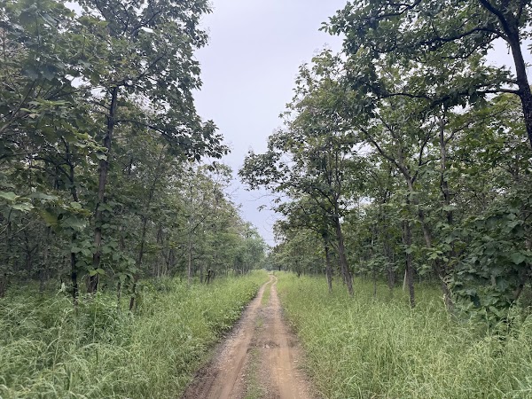 Tipeshwar Wildlife Sanctuary 3