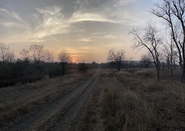 Tipeshwar Wildlife Sanctuary 2