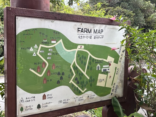 Matayoshi Coffee Farm 3