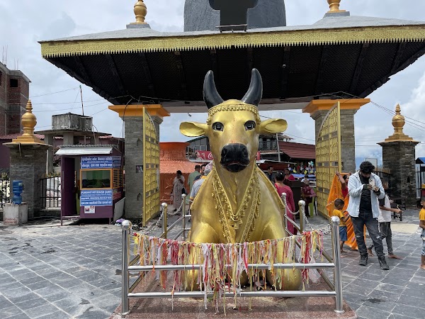 Pumdikot Shiva Statue 2