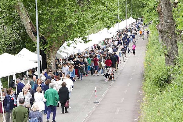 Ponte Milvio Antiquariato | mercatino antiquariato Roma 3