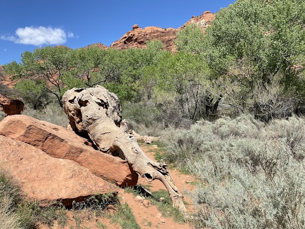 Red Reef Trailhead 4