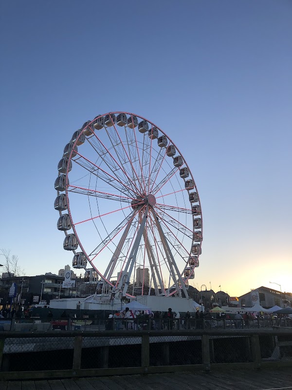 Pier 39 San francisco 5