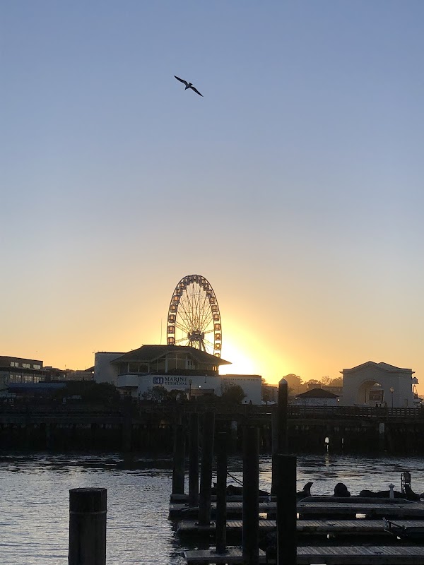 Pier 39 San francisco 3