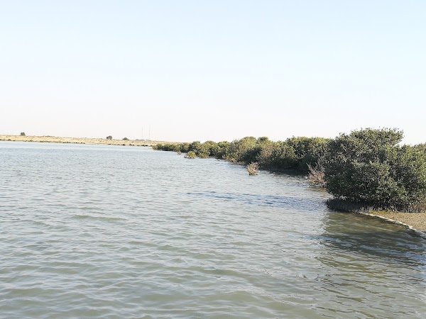 The Mangrove Beach | شاطئ القرم 4
