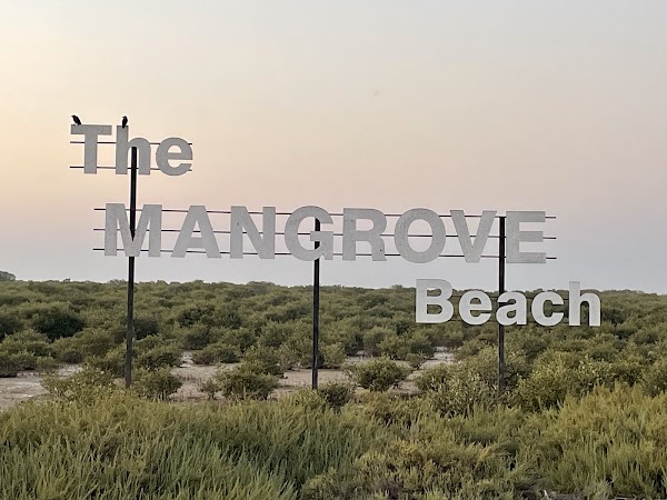 The Mangrove Beach | شاطئ القرم 3