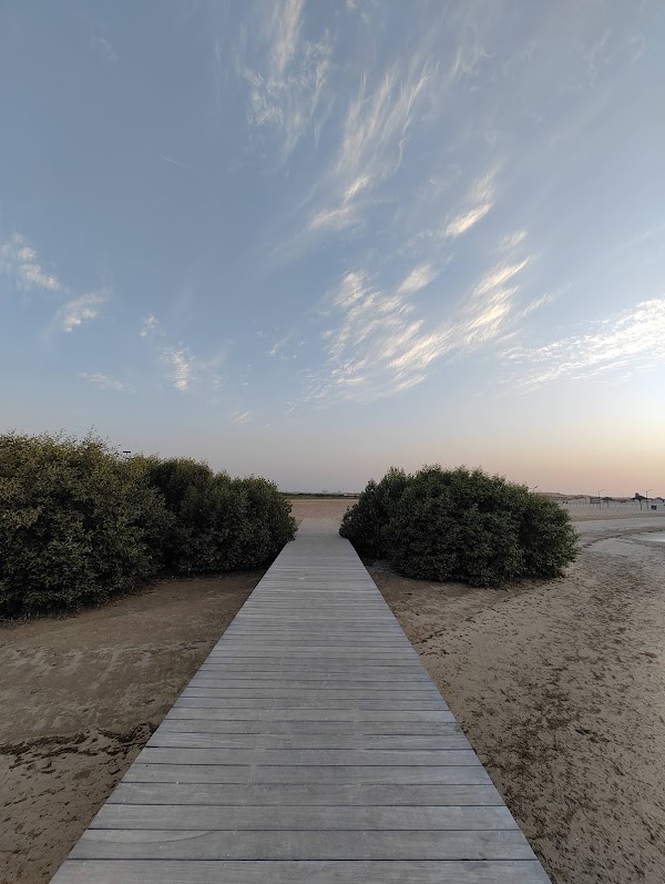 The Mangrove Beach | شاطئ القرم 2