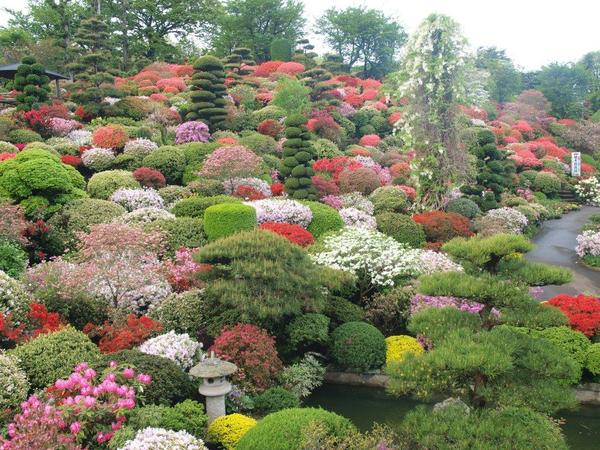 Japan 1