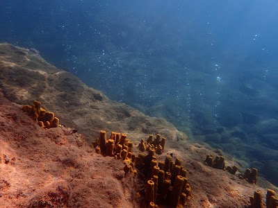 Champagne Reef, Dominica 🇩🇲