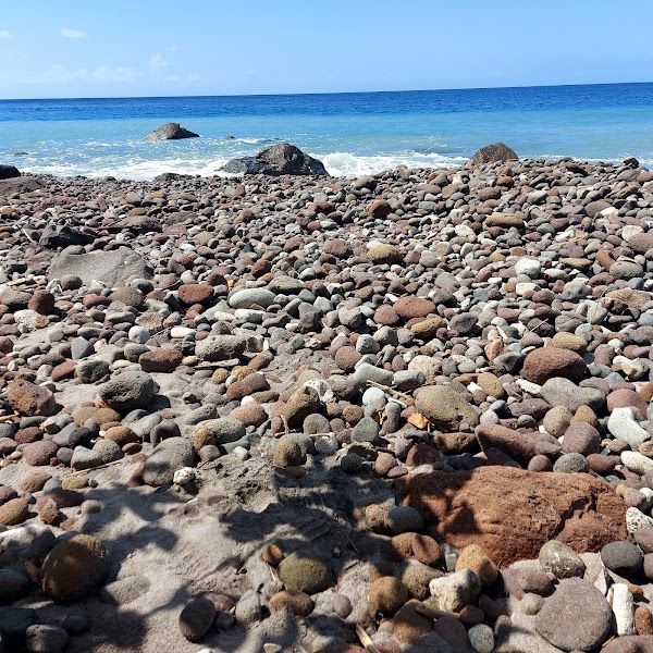 Champagne Reef, Dominica 🇩🇲 4