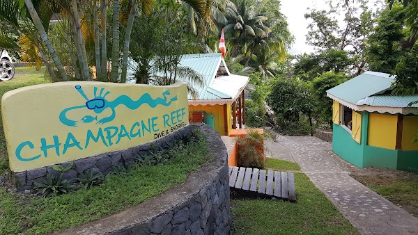 Champagne Reef, Dominica 🇩🇲 2