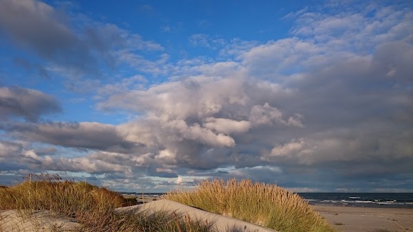 Mälarhusens strandbad 5