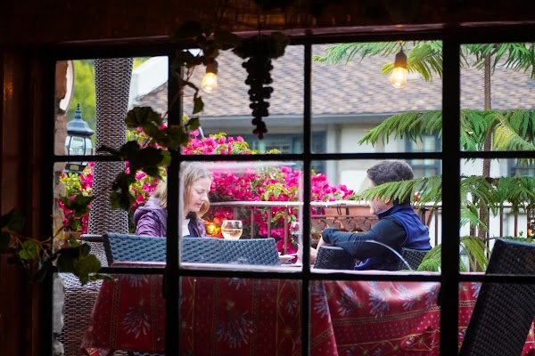 Treehouse Café 1