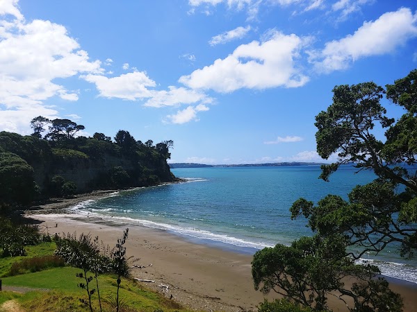 Pohutukawa Bay Beach