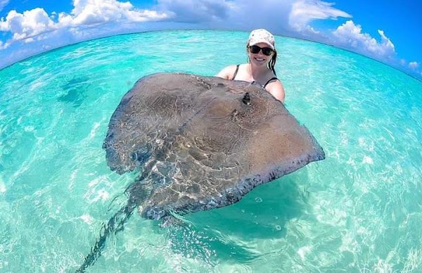 Stingray City Charters 5