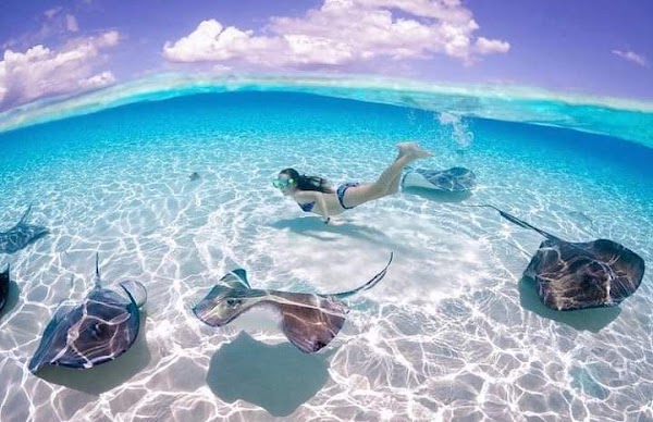 Stingray City Charters 3