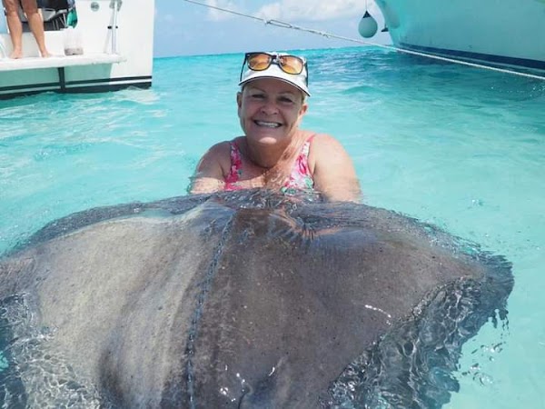 Stingray City Charters 2