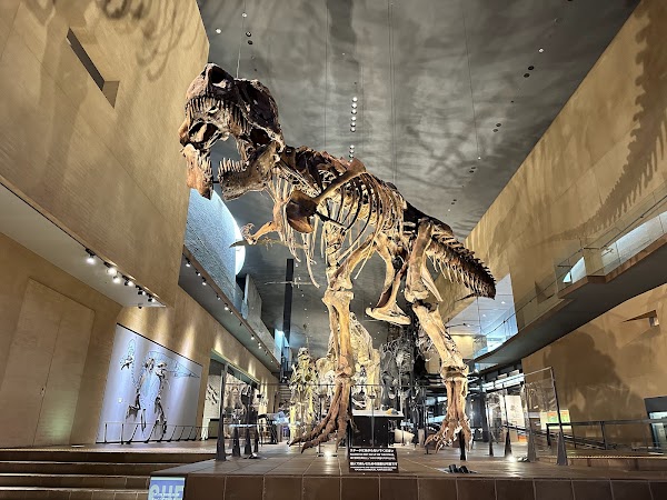 Kitakyushu Museum of Natural History & Human History 5