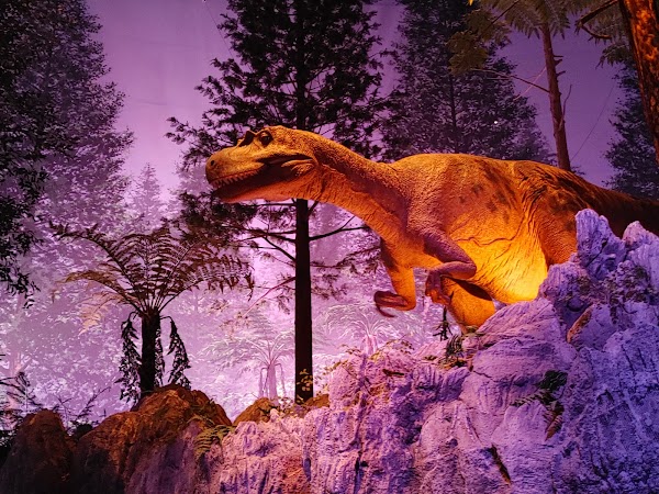 Kitakyushu Museum of Natural History & Human History 4