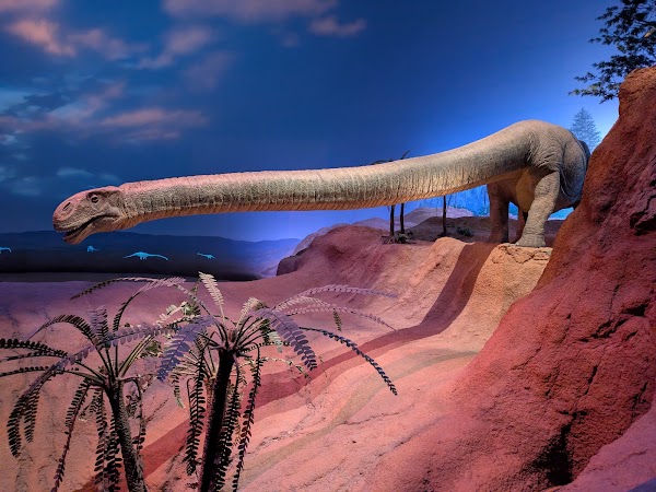 Kitakyushu Museum of Natural History & Human History 3