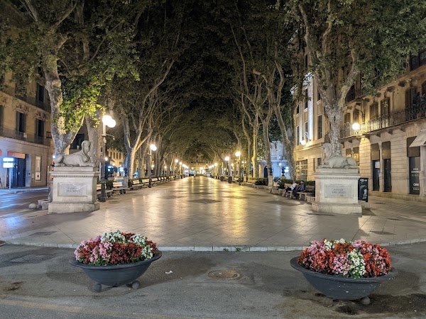 Passeig del Born 5