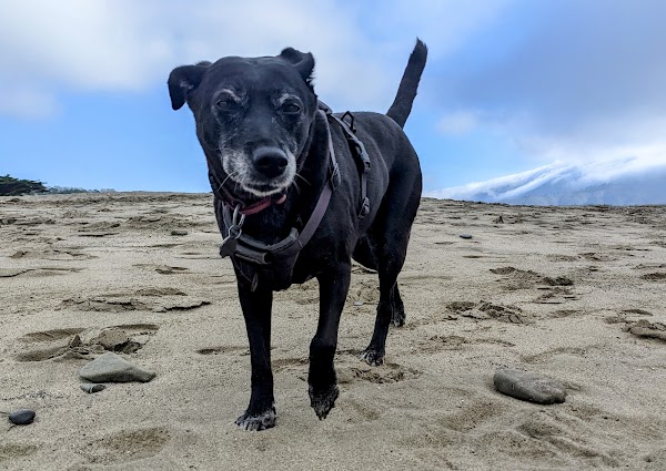 Pacifica State Beach 3