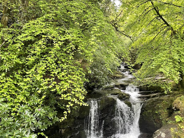 Torc Waterfall 5