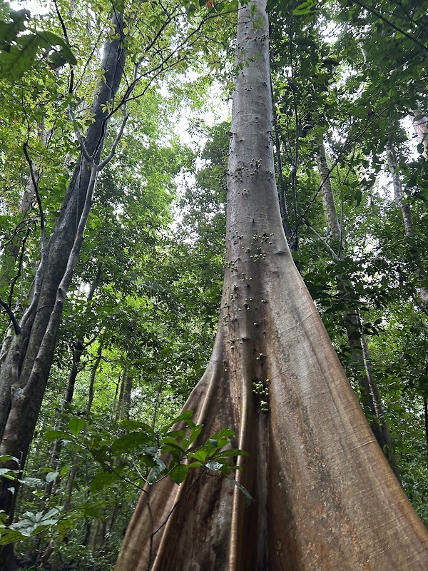 Tangkoko Nature Reserve