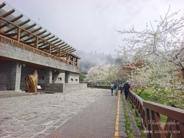 Zhaoping Park 4