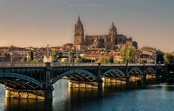 Salamanca 5
