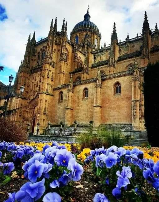 Salamanca 3