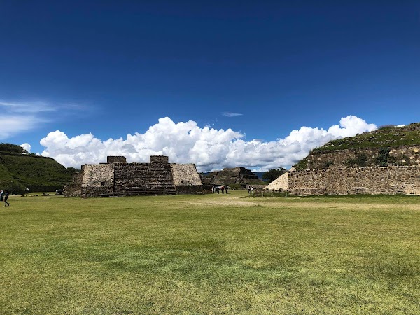 Monte Albán 4