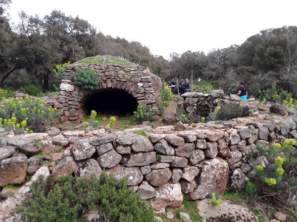 Giara di Gesturi 4