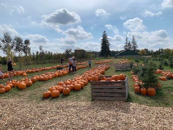 Benjamin Tree Farm