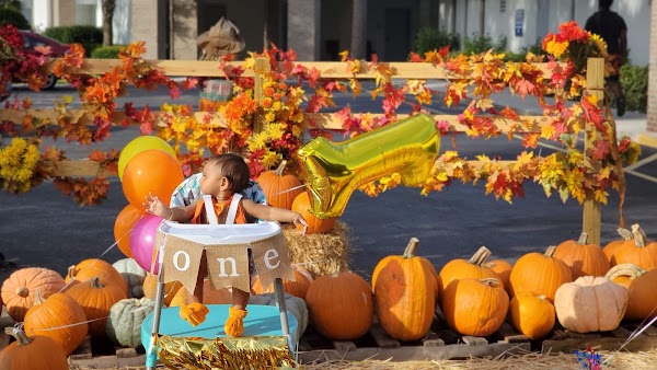 Sanlando Pumpkin Patch 5