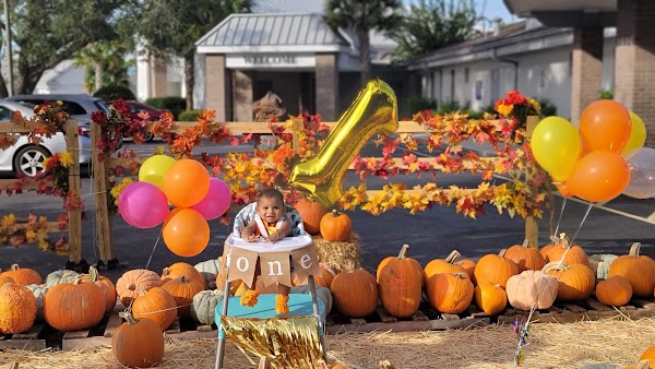 Sanlando Pumpkin Patch 2