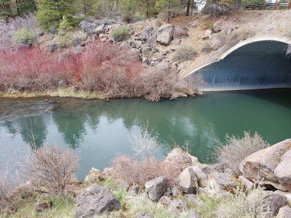 Warm Springs 1