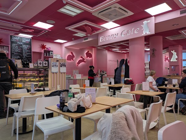 Bunny Cafe - Królicza Kawiarnia [7+] 4