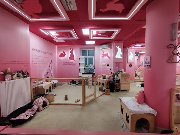 Bunny Cafe - Królicza Kawiarnia [7+] 2